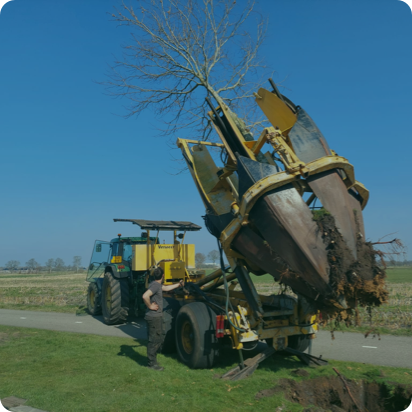 Boomverplanten